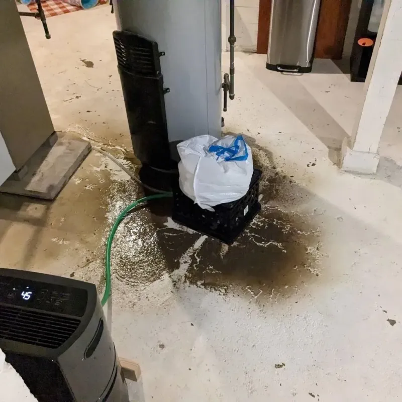 Sewage Backup Cleanup Service in Vinita Park, MO